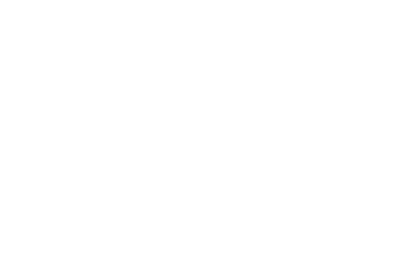 AMACIA logo